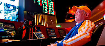 Официальный сайт Vulkan 24 Casino